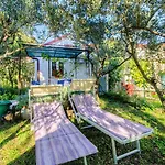דירה Charmantes Studio-apartment Mit Liegestuehlen Im Mediterranem Garten נובי ווינודולסקי