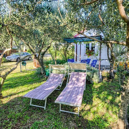Charmantes Studio-apartment Mit Liegestuehlen Im Mediterranem Garten *