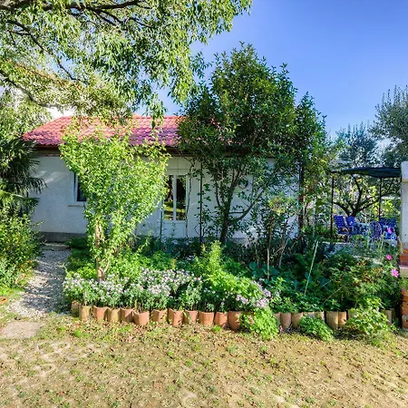 Charmantes Studio-apartment Mit Liegestuehlen Im Mediterranem Garten Lägenhet Novi Vinodolski